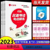 [全三册]名著考点精练·7-9年级 初中通用 [正版]2023新版名著导读考点精练初中七八九年级初中生必读名著初中名著与