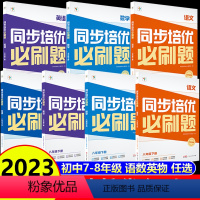 [4册更划算]语文+数学+英语+物理 八年级下 [正版]学而思同步培优必刷题初中七八年级下册语文数学英语物理重点同步题型