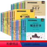 经典名著阅读全套(全30册) [正版]小学生阅读课外书籍全30册三四五年级必读的课外书四年级至六年级经典名著课外阅读书籍