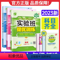 语文 人教版 九年级上 [正版]2023实验班提优训练九年级下册上册数学语文英语物理化学科学人教版浙教苏科北师大华师版初