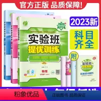 语文 人教版 九年级上 [正版]2023实验班提优训练九年级下册上册数学语文英语物理化学科学人教版浙教苏科北师大华师版初
