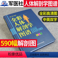 [正版]全新人体解剖学图谱全彩解剖速记医生用书人体结构彩色书军事医学科学出版社中英文双语对照标识人体解刨学图谱解剖速记