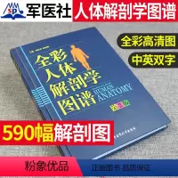 [正版]全新人体解剖学图谱全彩解剖速记医生用书人体结构彩色书军事医学科学出版社中英文双语对照标识人体解刨学图谱解剖速记