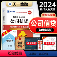 [正版]天一金融2024年银行从业资格考试考点精析与上机题库公司信贷全套初中级从业资格证考试书历年真题模拟试卷同步练习