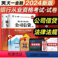 [正版]天一金融2024年银行从业考点精析与上机题库公司信贷法律法规与综合能力全套初中级从业资格证考试书历年真题模拟试