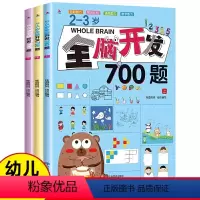 2-3岁全脑开发[全3册] [正版]全脑开发思维训练2-3岁700题1000题幼儿逻辑早教启蒙书数学专注力训练图书小班智