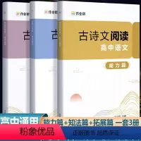 高中语文古诗文阅读 [正版]高中语文古诗文阅读真题训练高考语文阅读理解答题技巧专项突破提升全解一本通高一1高二2高三3语