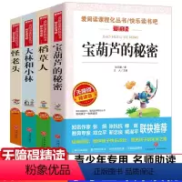 [正版]全套四本怪老头宝葫芦的秘密大林和小林稻草人无障碍精读版怪老头儿小学三四五六年级10-12-15岁中小学生课外阅