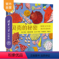 [正版]贝壳的秘密——探索5亿年的海洋生命传奇 伊娃·本赛哈德 儿童科普