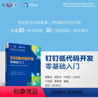 [正版]钉钉低代码开发零基础入门 诸葛斌 宜搭钉钉低代码开发应用