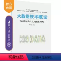 [正版] 大数据技术概论 娄岩 徐东雨 清华大学出版社