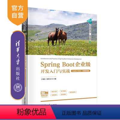 [正版]新书Spring Boot企业级开发入门与实战(IntelliJ IDEA·微课视频版) 丁明浩 刘仲会 程