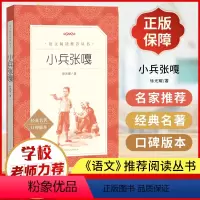 小兵张嘎 [正版]小兵张嘎 经典名著口碑版本 人民文学出版社 中国儿童文学书系青少年课外读物8-9-10-12周岁四五六
