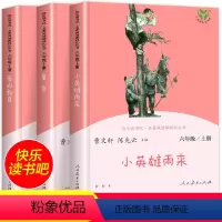 六年级上册快乐读书吧人民教育出版社 [正版]六年级上册快乐读书吧 小英雄雨来 童年书 爱的教育六年级必读的课外书高尔基全