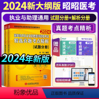 [正版]2024新版昭昭国家临床执业及助理医师资格考试精选真题考点精析上下册 昭昭执业医师2024年 执业助理医师考试