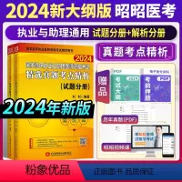 [正版]2024新版昭昭国家临床执业及助理医师资格考试精选真题考点精析上下册 昭昭执业医师2024年 执业助理医师考试