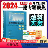 2023新版一建 龙炎飞 考点专题聚焦 [正版]2023新版全国一级建造师 专题聚焦 龙炎飞主 一建 建筑工程管理与实务