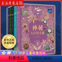 DK典藏系列共5册 [正版]书店DK典藏系列共5册 远古生物大发现 浩瀚宇宙大奥秘 奇妙动物大百科 神秘大自然奇观 探秘
