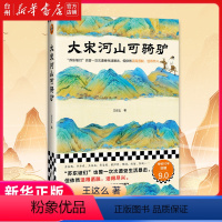 [正版]书店大宋河山可骑驴 王这么 苏东坡们也曾一次次遭受生活暴击但依然活得洒脱尽兴 宋代历史人物传记经典故事图书读本