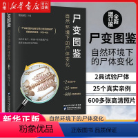 [正版]书店尸变图鉴(自然环境下的尸体变化)(精) 无 陕西科学技术出版社 陈禄仕付琨邱为斌法学理论医学卫生基础医学图