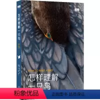 [正版]书店怎样理解一只鸟本书在进化论的语境中绘制出全球鸟类私生活的丰富图景收录150幅彩色照片科学图例和水彩插画