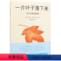 一片叶子落下来(关于生命的故事)(精) [正版]一片叶子落下来(关于生命的故事)(精)