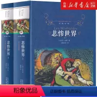 单本全册 [正版]书店悲惨世界(上下)(精)/经典译林 (法国)维克多雨果 译林出版社 潘丽珍经典译林外国文学-各国文学