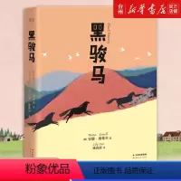 黑骏马 [正版]书店黑骏马 (英)安娜·塞维尔 云南人民出版社 刘娟姚莉莉中文分级阅读外国儿童文学 亲子阅读课外书籍学习