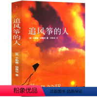 [正版]追风筝的人 胡塞尼著 中文版珍藏版 两千万读者口耳相传 情感读物 文艺女性的动人故事放风筝的人追着风筝的人 上