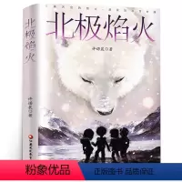 [正版]北极焰火 许诺晨著中国当代儿童文学 小学生3456年级老师课外阅读中小学生青少年儿童读物 江苏凤凰教育出版社