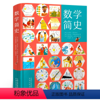 数学简史 [正版]数学简史 小学生数学百科全书 适合7-10-14岁阅读 看故事爱上数学学好数学思维方法很重要云南科技出