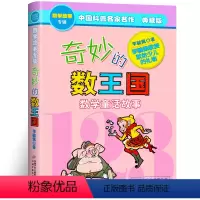 [正版]奇妙的数王国李毓佩数学童话故事集小学生数学思维训练书三四五年级科普名家数学课外书李敏佩李疏佩李佩毓中国少年儿童