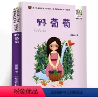 [正版]野葡萄书 葛翠琳著注音版百年百部中国儿童文学经典书系绘本小学生一二年级课外书阅读书籍长江少年儿童出版社