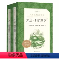 大卫科波菲尔 [正版]完整版无删减大卫科波菲尔全套2册 高中生版高一二三初中生七八九年级课外书阅读书籍世界经典名著 人民