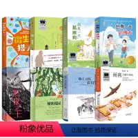 四年级8册 [正版]雨燕飞越中轴线 张之路著 四年级百班千人祖庆说大阅小森 小学生课外书阅读书籍飞跃飞过 北京少年儿童出