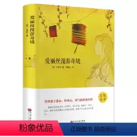 [正版]爱丽丝漫游奇境 名家名译语文书目 培养孩子爱心、好奇心、勇气的经典名作 世界十大儿童文学名著之一