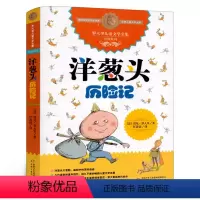 [正版]洋葱头历险记 二年级任溶溶译 百班千人41期大阅小森书籍 小学生课外书阅读必读书籍 洋葱头历险记书 中国少年