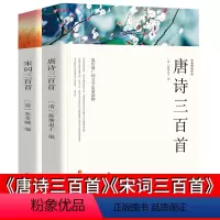 [正版]完整版各300首共853页唐诗三百首宋词三百首全译本无删减文白对照注解中国诗词大全古代古典诗词书籍2本wp
