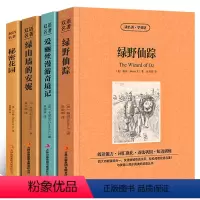 [正版]绿野仙踪 爱丽丝漫游奇境记 绿山墙的安妮 秘密花园 中英双语书4本中英对照完整版双语版中英互译英汉对照表英文原
