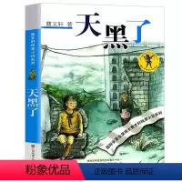 [正版]天黑了曹文轩书 曹文轩纯美小说系列儿童文学单本 曹文轩的书著名书籍 小学生三四五六年级课外书籍 江苏少年儿童出