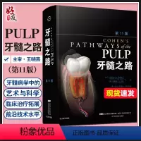 [正版] 牙髓之路 第11版 口腔书籍医学类专业书籍 牙髓病学的高阶科学 牙科牙髓治疗根管治疗图谱 978755910