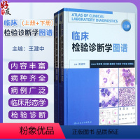 [正版]临床检验诊断学图谱 上下册2本组合套装 王建中主编人民卫生出版社 检验医学西医临床诊断学图谱临床形态学检验诊断