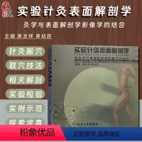 [正版] 实验针灸表面解剖学 针灸学与表面解剖学影像学的结合 黄龙祥 黄幼民 人民卫生出版社 针灸疗法穴位人体解剖