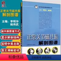 [正版]正常关节磁共振解剖图谱 医学影像学解剖图谱丛书 李明华 姚伟武主编 上海科学技术出版社 解剖图谱 医学影像学9