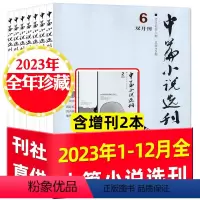 F[全年珍藏+增刊共8本]2023年1-12月+增刊2本 [正版]中篇小说选刊杂志2024年3.4月第02期另有1期