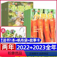 3[送帆布袋/送书1本/故事卡 两年24本]2023+2022全年 [正版]两年共24本送帆布袋小聪仔科普版杂志2022