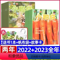 3[送帆布袋/送书1本/故事卡 两年24本]2023+2022全年 [正版]两年共24本送帆布袋小聪仔科普版杂志2022