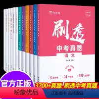 语数英物化[6套] 初中通用 [正版]刷透中考真题卷数学基础题压轴题语文英语物理化学中考一二轮复习资料书初三9年级数学2