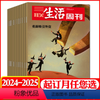 A[全年订阅]2024年4月-2025年3月 [正版]全年/半年订阅三联生活周刊杂志2024年4月-2025年3月 可改