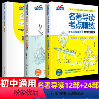 名著导读[赠考点练习册]3册 初中通用 [正版]名著导读考点精练初中生阅读名著导读与考点中外文学名著阅读理解专项训练书考